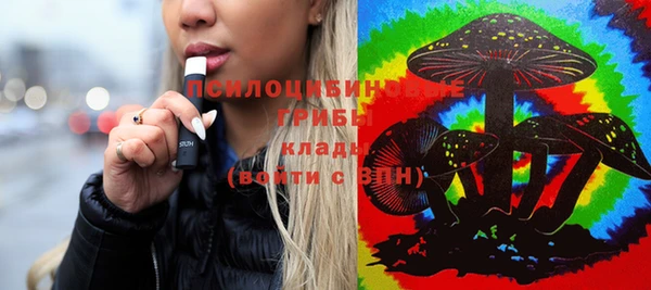 PSILOCYBIN Медвежьегорск