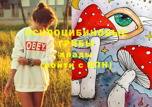 PSILOCYBIN Медвежьегорск