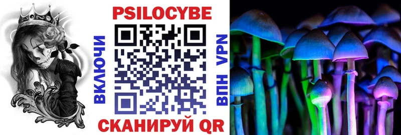 Купить закладки  Сосновка  Псилоцибиновые грибы прущие грибы 